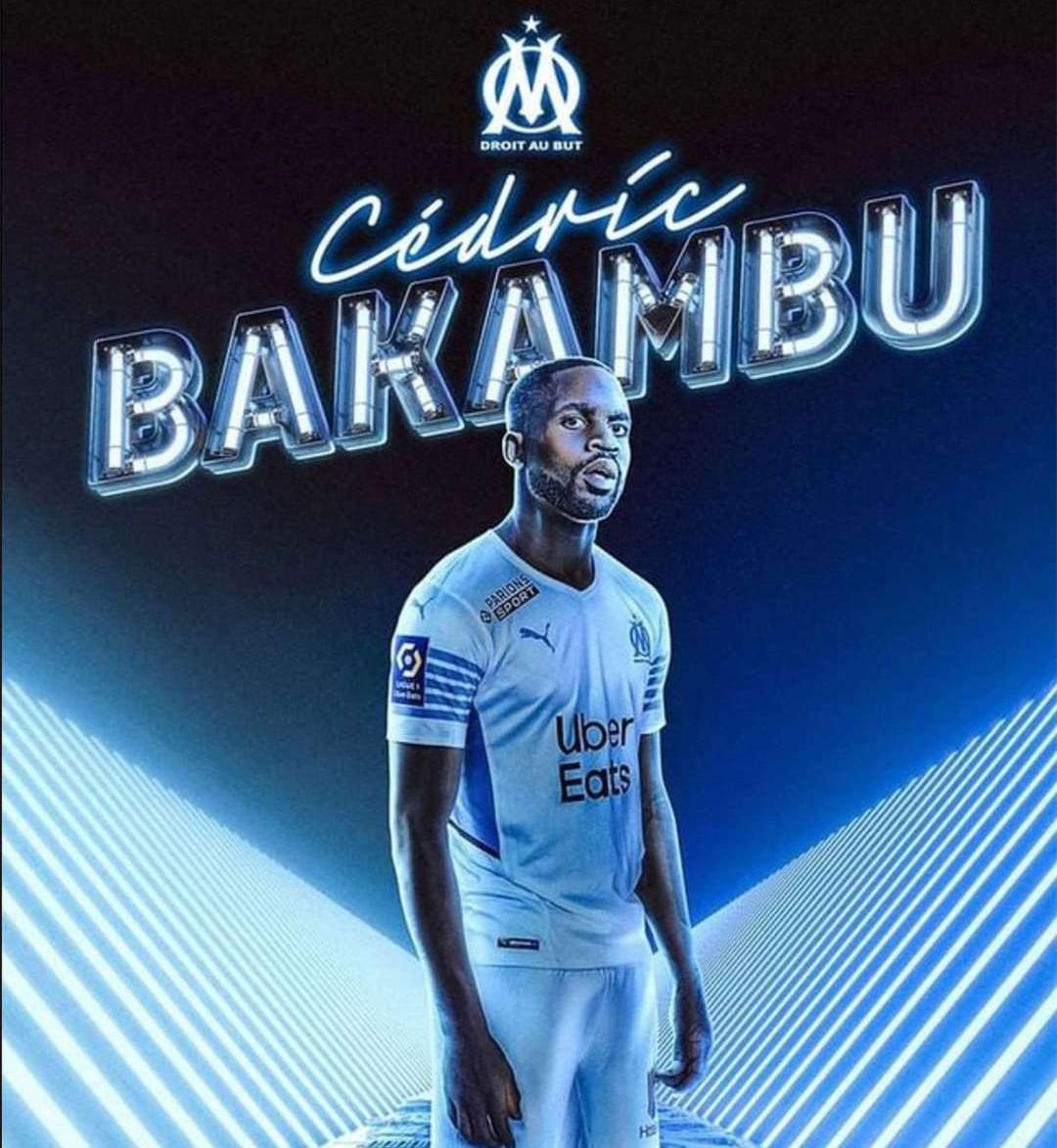 他们在阵容 他们在阵容